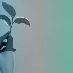 چگونه پارکهای علم و فناوری به رشد و موفقیت شرکت ها کمک میکنند؟